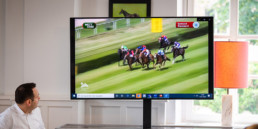 flight-screen-multimedia-image